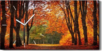 Produktbild von Wanduhr Bürouhr Leinwand Bild Geräuschlos 60x30 Gemälde Wald Bäume Herbst Natur - weiße Hände