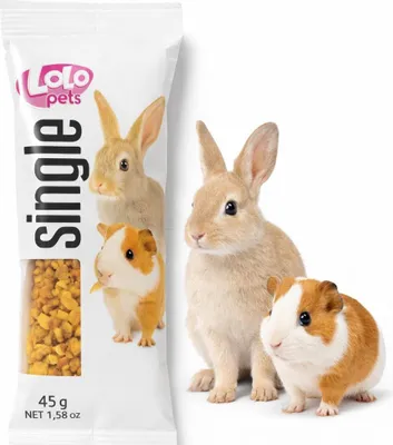 Zdjęcie produktu dla Lolo Pets Honey Smakers - przysmak z miodem dla królików i gryzoni, 45 g