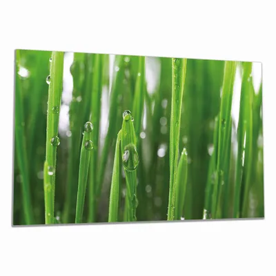 Produktbild von Wallario Herdabdeckplatte aus Glas, Größe 90 x 52 cm 1-teilig, Motiv Wassertropfen an Grashalmen