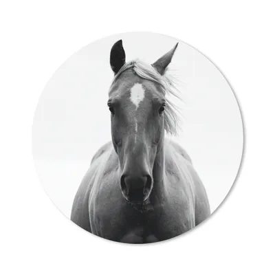 Produktbild von MuchoWow® Mauspad Mousepad Pferd - Schwarz - Weiß - Porträt 20x20 cm - Mousepads - Maus Mat - Pad - Mausunterlage - Schreibtischmatte