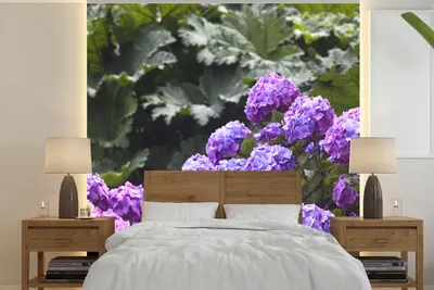 Produktbild von MuchoWow® Fototapete für Wohnzimmer oder Schlafzimmer Wandtapete Vinyl Motivtapete Rosa und lila Hortensien - 240x240 cm - Schlafzimmer-Tapete