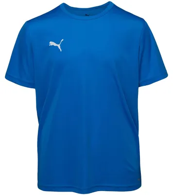 Obrázok produktu pre Puma Teamrise Matchday Jr 70628402 – detská obuv