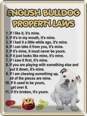 Produktbild von vianmo Blechschild 40x30 cm english bulldog property laws