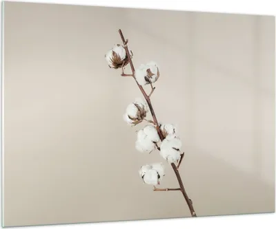 Produktbild von Bilder auf glas - Einteilig - Baumwolle Zweig Boho - 100x70cm - Glasbilder - Wandbilder - Bilder - zum Aufhängen bereit - Wanddekoration aus Glas - Glas Bilder - Wandbild auf Glas - GAA100x70-4730