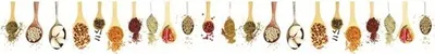 Produktbild von Küchenrückwand mySPOTTI Splash Oriental Spice 450 x 60 cm