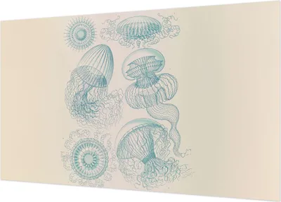 Produktbild von Selbstklebende Fototapete - Wandbilder für Wohnzimmer - 416x254 - Dekorative Wandfolie - Modernes Design für Wanddekoration - Tapeten für Innenräume - Seequallen