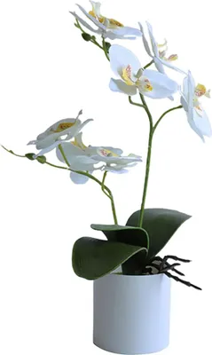 Obrázek produktu pro Dekorativní hedvábné orchideje bonsai, umělé květiny s květináči, umělé květinové vazby pro domácnost, odolné proti opotřebení, bez vadnutí, simulace orchideje, bonsai květina