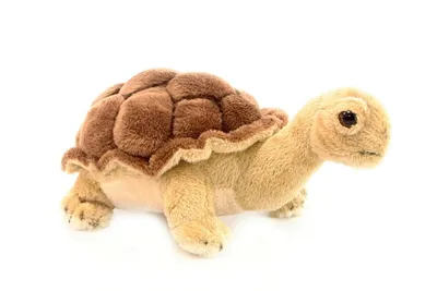 Immagine prodotto di Tartaruga di peluche 20 cm