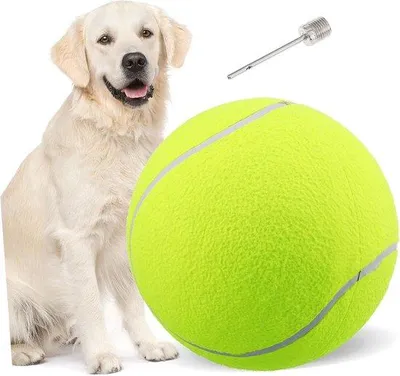 Produktbild von Famanu Tennisballen für Hunde - 2 Stück, ideal für Outdoor-Aktivitäten