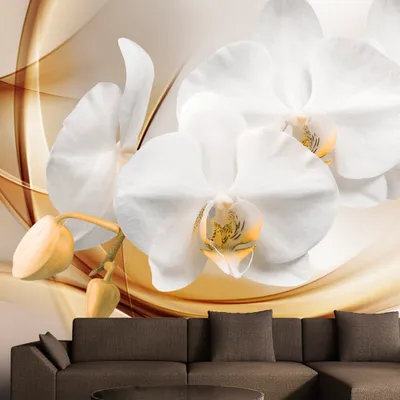 Produktbild von Basera Fototapete Orchideenmotiv b-A-0213-a-b, Vliestapete, 400x280 cm