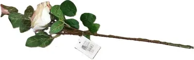 Produktbild von Schaumstoffrose 53 cm – ADAR