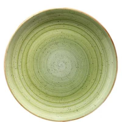 Imagen del producto de Aura Therapy, plato gourmet plano, 21 cm - juego de 12 unidades