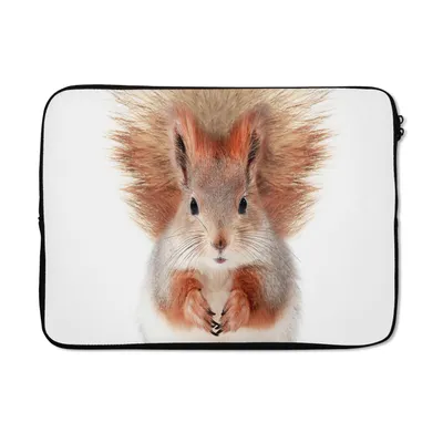 Produktbild von MuchoWow® Laptop Hülle 13 Zoll Eichhörnchen - Tiere - Natur - Orange - Weiß Laptoptasche - Laptophülle - Sleeve - Rundumschutz