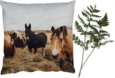 Produktbild von MuchoWow® Zierkissen Sofakissen Wohnzimmer Dekokissen 60x60 cm Tiere - Pferd - Sitzfläche - Foto Polster