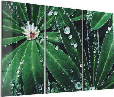 Produktbild von DEQORI Glasbild Echtglas 3x50x100 cm 'Wasserperlenverzierung' Wandbilder XXL groß