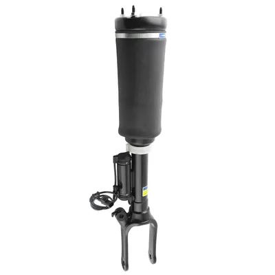 Zdjęcie produktu dla Amortyzator przedniego zawieszenia pneumatycznego do Mercedes R350 R500 W251 2513203113