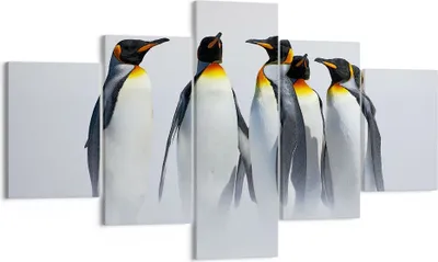 Produktbild von Bild auf Leinwand - Leinwandbild - Pinguine Winter Schnee Spaziergang - 125x70cm - Wand Bild - Wanddeko - Leinwanddruck - Bilder - Kunstdruck - Leinwand bilder - Wandkunst - EA125x70-2893