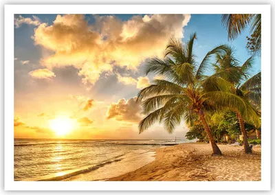 Produktbild von Poster - Poster ohne Rahmen - Strand Meer Palme - 100x70 cm - Wand Bild - Wanddeko - Wandbilder - Kunstposter - Wandposter - Bilder - Kunstdruck - Wanddekoration - Wandbild - P2XAA100x70-3606