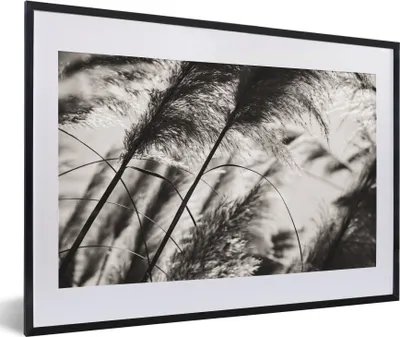 Produktbild von MuchoWow® Gerahmtes Poster Pampasgras - Schwarz - Weiß - Pflanze 60x40 cm - Poster mit Schwarzem Bilderrahmen Wandposter Rahmen Foto Bilder - Schlafzimmer - Plakat in Rahmen - Drucken