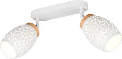 Produktbild von Reality Leuchten Deckenspot BIDAR 2-flammig BHT 28x27x12 cm weiß Strahler