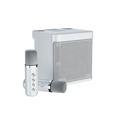 Produktbild von Outdoor ktv Sound Set mit dualem drahtlosem Mikrofon all-in-one Singmaschine, nach Hause tragbare Karaoke bluetooth Lautsprecher