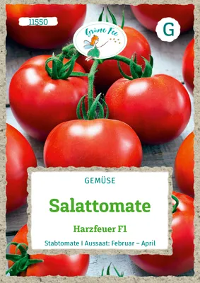 Produktbild von Grüne Fee - Salattomate Harzfeuer F1 Samen - 11550