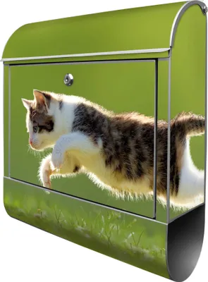 Zdjęcie produktu dla banjado design skrzynka na listy stalowa srebrna z przegrodą na gazety malowana proszkowo "Hunting Cat" 38x46x12,5cm & 2 klucze - Skrzynka pocztowa A4 z materiałem montażowym [BK 10729]