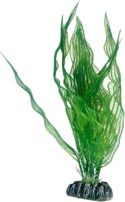 Produktbild von Hobby Aponogeton, Künstliche Aquarienpflanze zur Dekoration – 25 cm