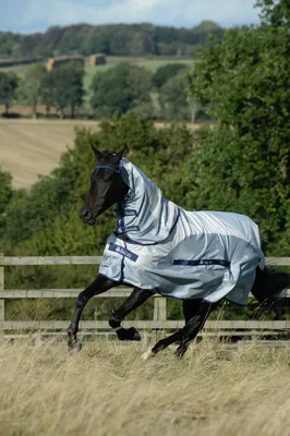Produktbild von Bucas Buzz-off Rain & Neck Fliegendecke, Farbe:Silver/blue, Größe:95