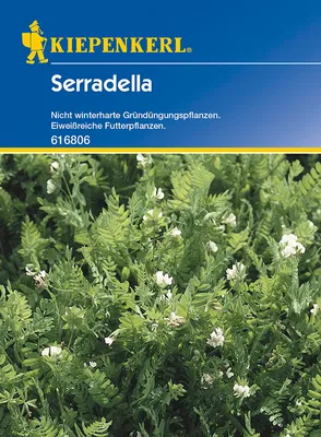 Produktbild von Serradella (60 g) | Gründünger von Kiepenkerl