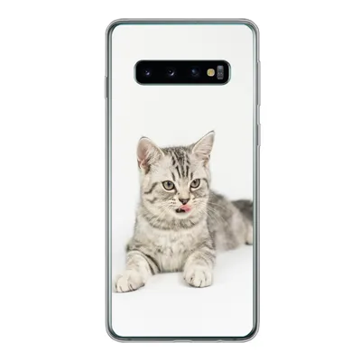 Produktbild von MuchoWow® Handyhülle Schutzhülle Hülle für Samsung Galaxy S10 Kitten - Weiß - Sohle - Mädchen - Kinder - Jungen - Kind Silikon Softcase Handy Hülle - Handytasche