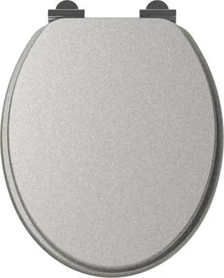 A top-down view of a toilet seat.