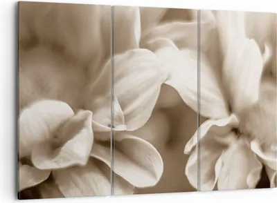 Produktbild von Bild auf Leinwand - Leinwandbild - 3 Teile - Blumen Boho ohne - 105x70cm - Wand Bild - Wanddeko - Wandbilder - Leinwanddruck - Bilder - Wanddekoration - Leinwand bilder - Wandbild - CE105x70-4767