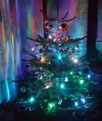 Produktbild von 24 LED Weihnachtskerzen mit Stecksystem für den Innenbereich mit Farbwechsel RGB