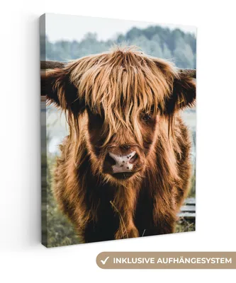 Produktbild von MuchoWow® - Leinwandbilder - Kühe - Schottische Hochlandbewohner - Braun - Natur, Wandbild, Wanddeko Bilder Wohnzimmer, 60x80 cm