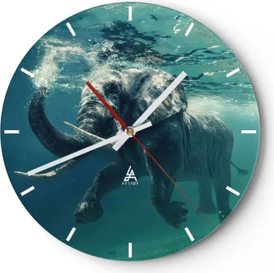 Produktbild von Wanduhr - Rund - Glasuhr - Elefant Tier Wasser - 40x40cm - Schleichendes Uhrwerk - Lautlos - zum Aufhängen bereit - Dekoration Modern - Wanddekoration aus Glas - C3AR40x40-3944