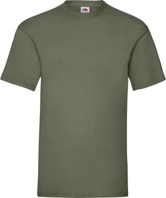 Produktbild von Herren-T-Shirt, Kurzarm - FOL VALUEWEIGHT T - olive - Größe XL
