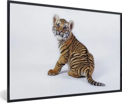 Produktbild von MuchoWow® Gerahmtes Poster Jungtier - Tiger - Tier 90x60 cm - Poster mit Schwarzem Bilderrahmen Wandposter Rahmen Foto Bilder - Fotorahmen - Foto-Plakat