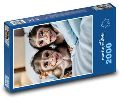 Obrázok produktu pre martinpuzzle - Puzzle 2000 - Veselé opice