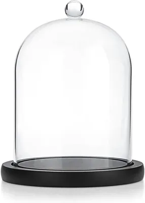 Imagen del producto de Campana de cristal con base de madera, 12 x 15 cm, ideal para aromaterapia y decoración