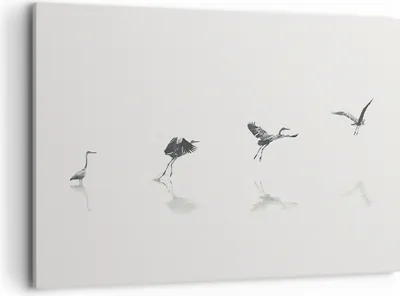 Produktbild von Bild auf Leinwand - Leinwandbild - Einteilig - Flug Vogel Reiher - 100x70cm - Wand Bild - Wanddeko - Wandbilder - Leinwanddruck - Bilder - Wanddekoration - Leinwand bilder - Wandbild - AA100x70-5096