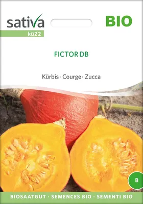 Produktbild von Kürbis Fictor DB |  Kürbissamen von Sativa Rheinau