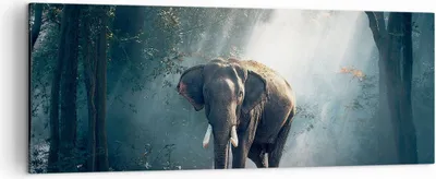 Produktbild von Bild auf Leinwand - Leinwandbild - elefant natur - 140x50cm - Wand Bild - Wanddeko - Wandbilder - Leinwanddruck - Bilder - Kunstdruck - Wanddekoration - Leinwand bilder - Wandkunst - AB140x50-3972