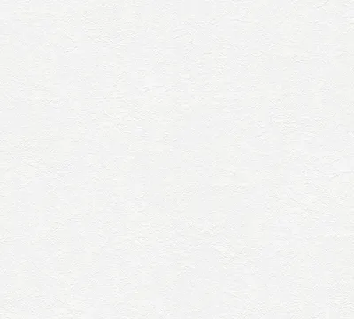 Obrázek produktu pro A.S. Création netkaná tapeta Meistervlies Pro Protect 2, bílá, lakovatelná, 10,05 m x 0,53 m, 248718, 2487-18