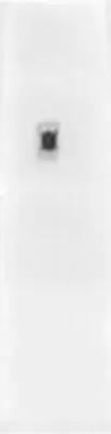 Produktbild von IC Chip FL4211 für iPhone 6s 6s Plus Hintergrundbeleuchtungsfilter Lade Chip