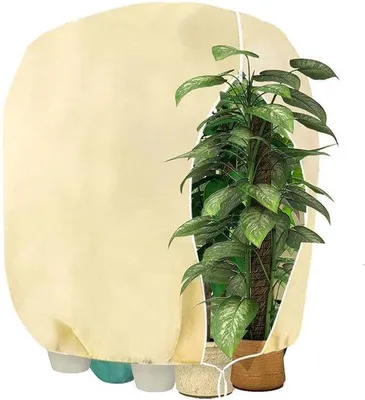 Imagen del producto de Funda transpirable y resistente a los desgarros para plantas – tejido de muselina, resistente a los rayos UV, con cordón de ajuste | Protección de invierno para árboles, palmeras y plantas de balcón