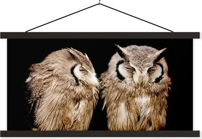 Produktbild von MuchoWow® Textilposter Eule - Vogel - Schwarz 60x30 cm mit schwarzem Rahmen - Textilien