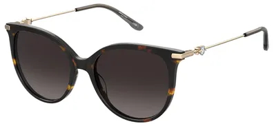 Produktbild von Damenbrille Pierre Cardin Pc8528S086