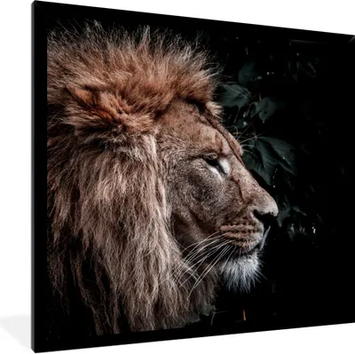 Produktbild von MuchoWow® Gerahmtes Poster Löwe - Blätter - Tiere 40x40 cm - Poster mit Schwarzem Bilderrahmen Wandposter Rahmen Foto Bilder - Mit Rahmen - Wanddekoration Schlafzimmer