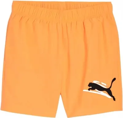 Immagine prodotto di Pantaloncini Puma 678991-46 da Uomo